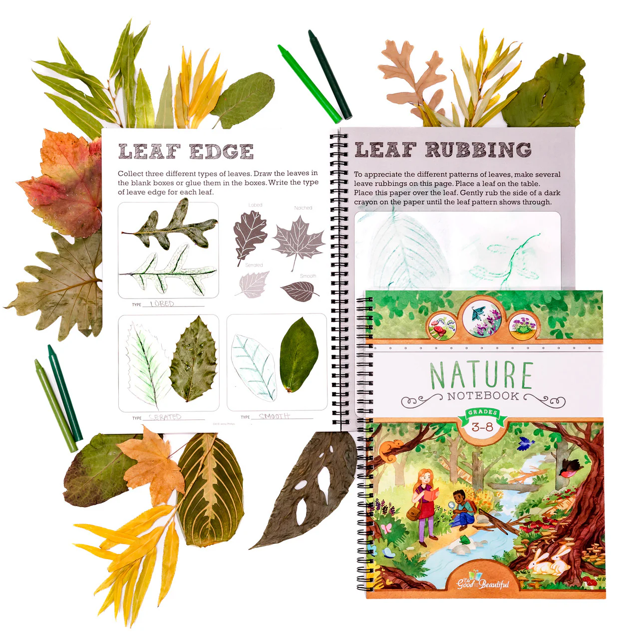 Nature Notebook - Image 4