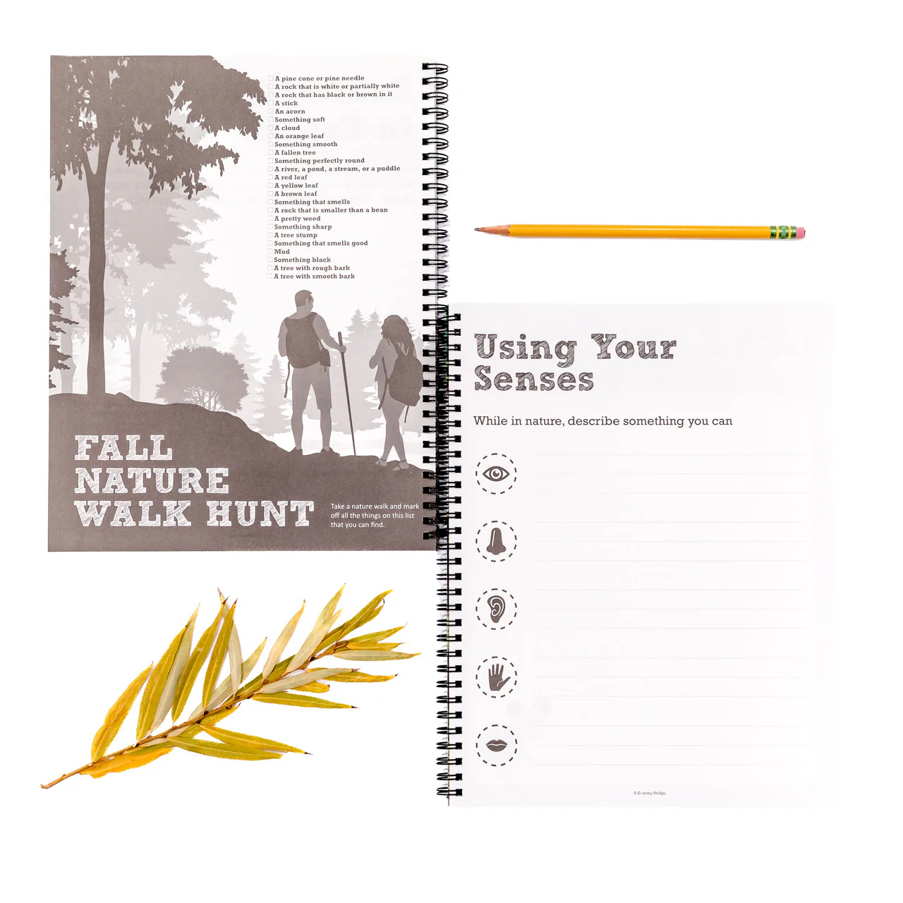 Nature Notebook - Image 9